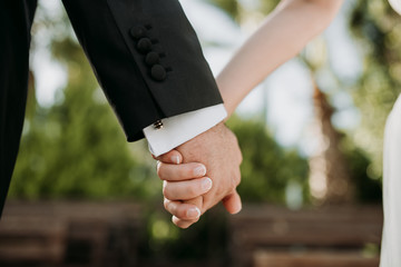 Wedding couple holding hands on green background
