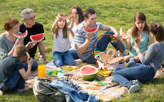 happy  family   on picnic