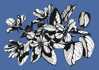 Awesome flowers.Hand drawn  ink illustration.Wallpaper or fabric design.