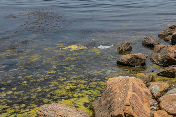 Photo complaint. Garbage bags in the sea