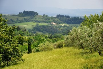 Toskana-Landschaft bei San Gimignano (Itlaien)