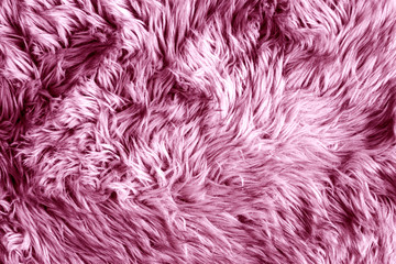 Pink sheep wool rug