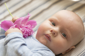 A small child holds a pink peony flower, close-up