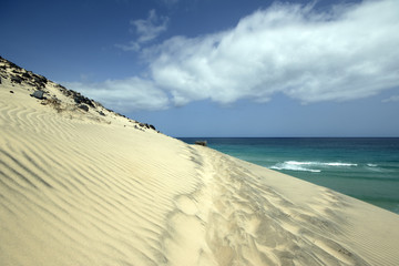 Sandy road on the Fuerteventura dune