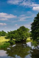 Fototapeta na wymiar River Kennet Berkshire Countryside 