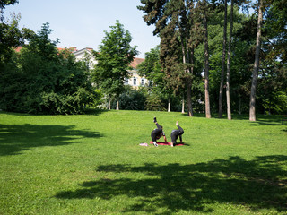 Two young women doing their workout on a mat in the park