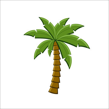 Palm tree icon isolated on white background.