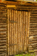 Closed old wooden door to a traditional Slavic cottage with metal hinges