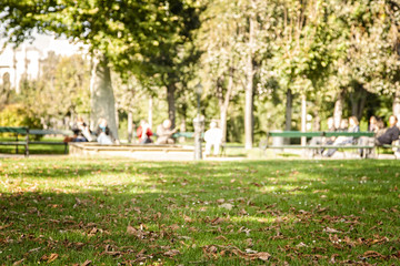 Autumn leaves in green grass In the blurred background a park with people having a rest