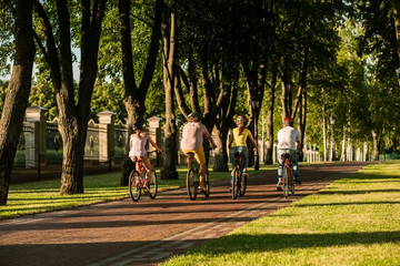 Obraz premium Active students on bikes, back view. Four friends on summer vacation. People and healthy lifestyle.