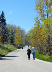 A walkway in the park in the spring time