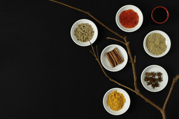 Obraz na płótnie Canvas Asian spices, herbs and cooking ingredients on black background.