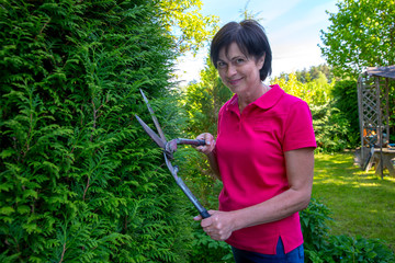 A woman in a red shirt is trimming thuja occidentalis with garden secateur in a garden