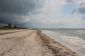 Sanibel Beach