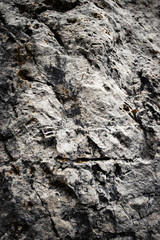abstract surface of gray limestone