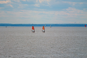 sailing boards with red sails in the sea