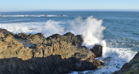 Waves crashing on the N. California coast