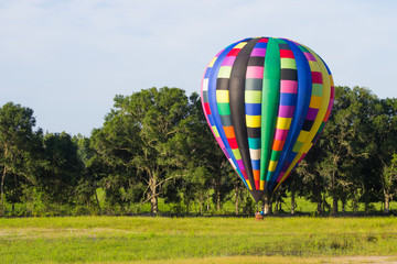 Hot Air Balloon in a Field