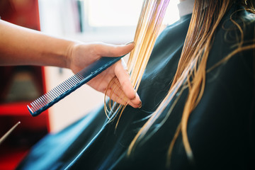 Obraz na płótnie Canvas Female beautician runs the comb, hairdressing