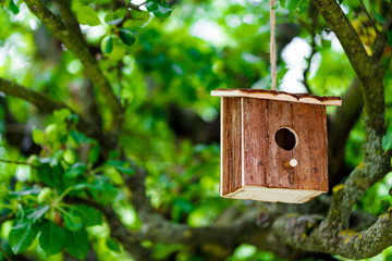 Bird Houses in the crown of an old tree with green leaves. close up