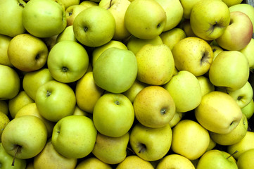 Green apples at the greengrocer