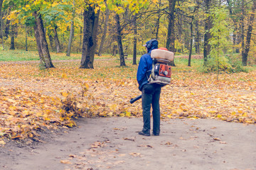 Fototapeta premium In the autumn park worker removes the road from the fallen leaves with help