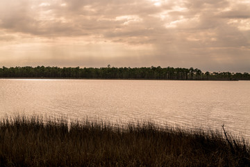 Tarkiln Bayou Preserve State Park near Pensacola Florida is a must see if your in the area, beauty everywhere you look.