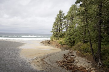 Oregon Coast view
