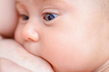 newborn sucking breast