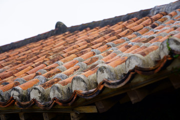 沖縄の瓦屋根