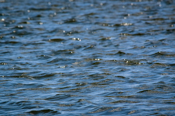 Closeup of water rippling on lake