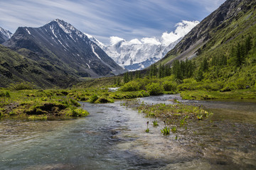 Naklejka na ściany i meble View to the highest Altai mountain peak Beluha from the Akkem valley, Russia