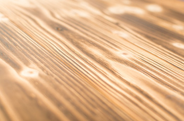 Burnt wood background