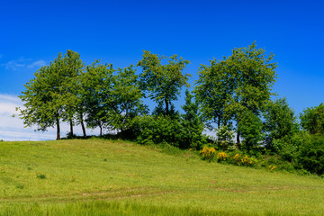 Polish landscape