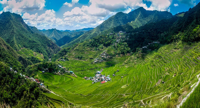 Panoramic view of rice terraces