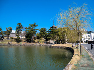 Obraz premium 興福寺