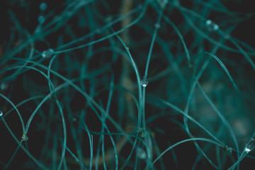 fishing net close up