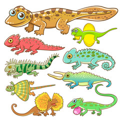 Obraz premium Universal lizard cartoon set.