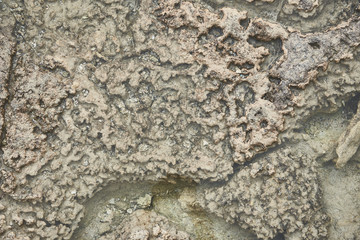 Top view close up of clean ocean water on stony surface. Nature is beautiful in details concept 