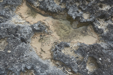 Unique texture. Top view close up of rocky seashore with water on surface 