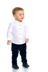 Handsome little boy in full growth