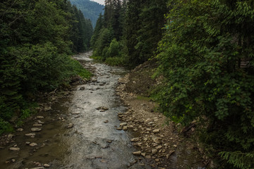 Fototapeta na wymiar forest mountain nature river landscape