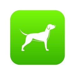 Dog icon digital green for any design isolated on white vector illustration
