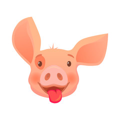 head of pink pig