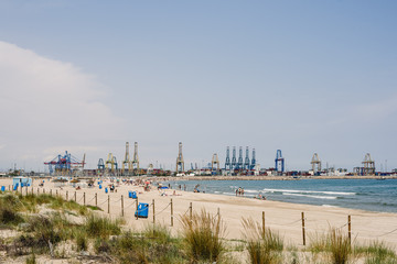Naklejka premium Cranes of longshoremen in the seaport of Valencia in the Mediterranean