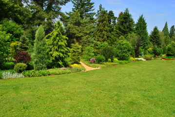 Zielony ogród
