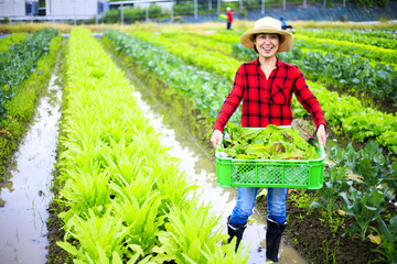 畑の作業をする女性