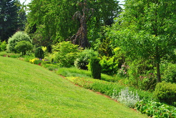 Zieleń w ogrodzie © bnorbert3