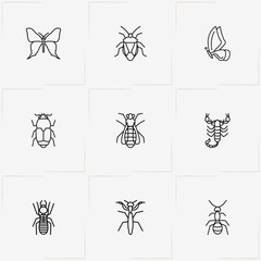 Insects line icon set with ant, butterfly and beetle