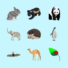 animals icons set